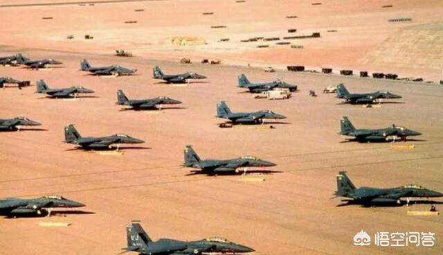  布莱顿海鸥军团展翅高飞冲击欧战区